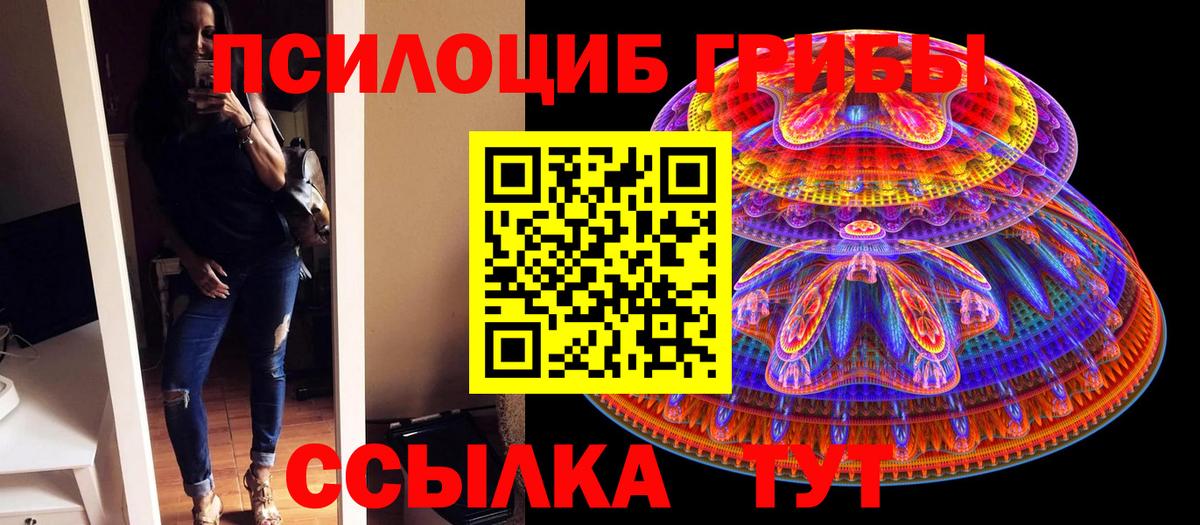Галлюциногенные грибы мицелий Узловая