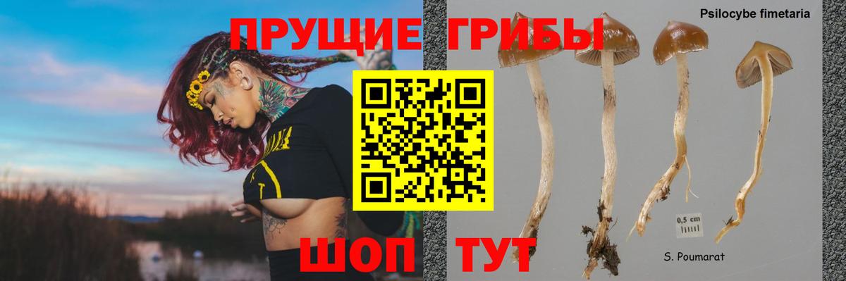 Псилоцибиновые грибы прущие грибы  Вход с VPN  Узловая 